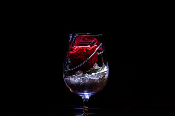 A rose in red color in a wine glass decorated on a dramatic black background.