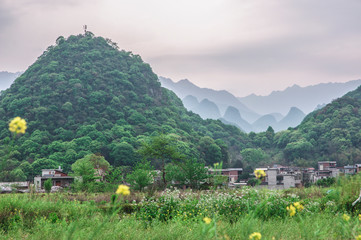 Mountain and tree scenery