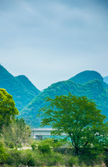 Mountain and tree scenery