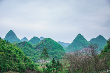 Mountain and tree scenery