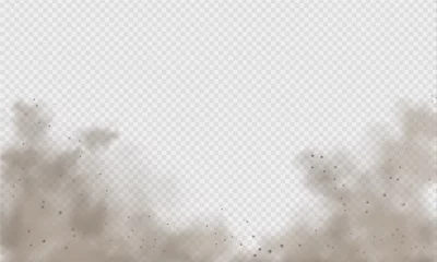 Tuinposter Dust cloud, sand storm, powder spray on transparent background. Desert wind with cloud of dust and sand. Realistic vector illustration. © Elena