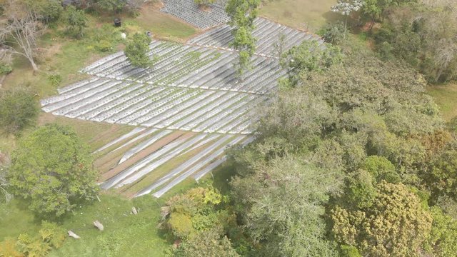 Drone Footage in the path in a field , Medellin , Antioquia 4k