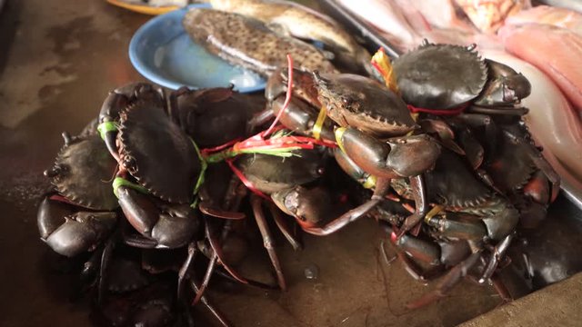 Crabs tied up at fish market. Animal cruelty 