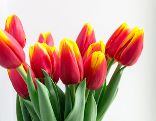 Naklejka premium Bouquet isolated red yellow tulips in vase