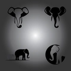 Elephant Logo Template Vector Illustration design