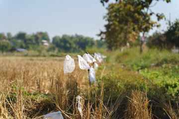 Used plastic bag tied to high voltage security steel wire