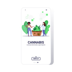 mix race women near cookie made with marijuana cannabis cupcake medicinal edibles drug consumption concept flat full length smartphone screen mobile app copy space vector illustration