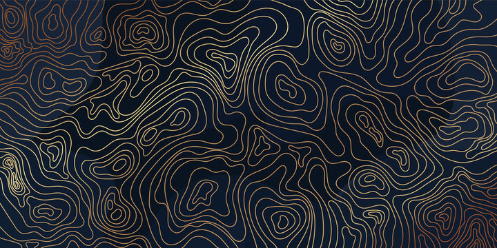 Luxury gold abstract topographic map background with golden lines  texture, 17:9 wallpaper design for fabric , packaging , web, geographic grid map vector illustration.