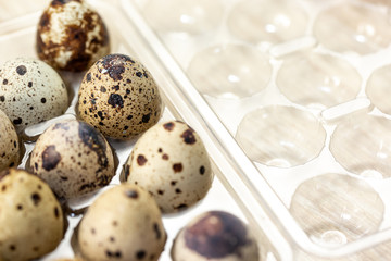 Close up of quail eggs on wood backround, macro