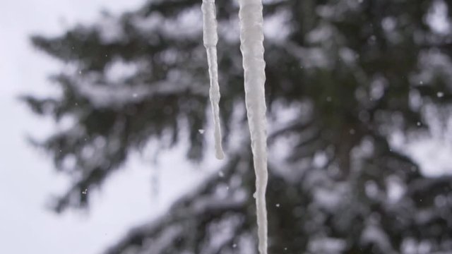 Icicle hanging from a rooftop - Winter environment details