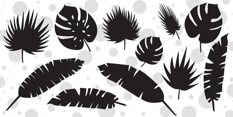 Set of palm leaves silhouettes isolated on white background.