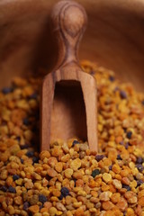 Blütenpollen Propolis Bienenpollen