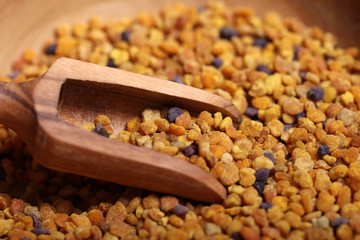 Blütenpollen Propolis Bienenpollen