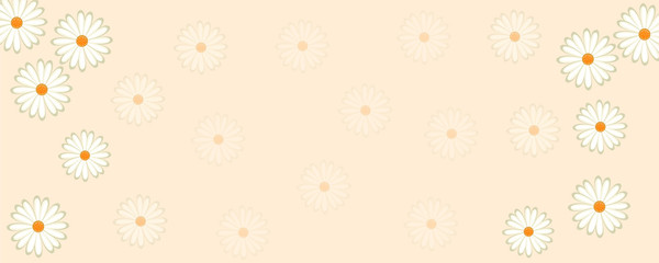 Chamomile flower vector design. Daisy flowers pattern with blank text space for banner.