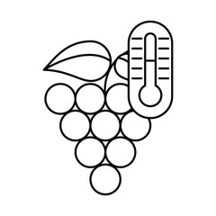 grapes fresh fruits isolated icon
