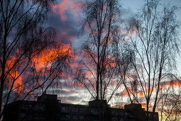 Obraz premium Red evening clouds