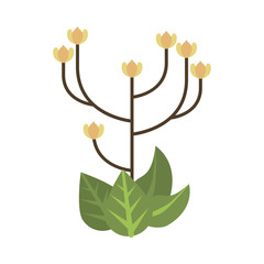 beautiful flowers and leafs garden icon
