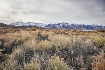 A View of the Eastern Sierra Nevada Mountains in the Dry Great Basin on a Cloudy Day