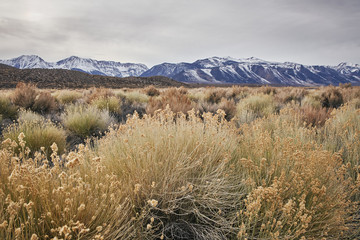 A View of the Eastern Sierra Nevada Mountains in the Dry Great Basin on a Cloudy Day