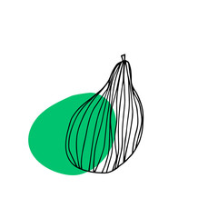 Pear fruit icon in hand drawn style. Vector illustration