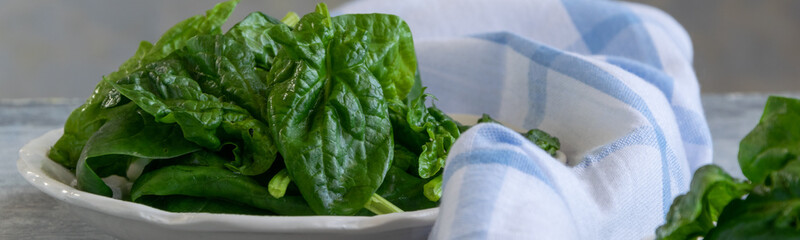 Close up view of raw spinach salad, vegetarian healthy ingredient