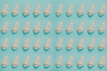 Various seashells pattern on blue background. Summer time card with sea shells and copy space.