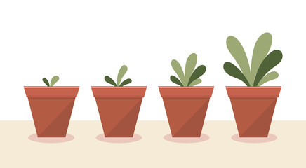 The growth of the plants.Stages of growth and development.Care, watering, fertilizer, tree, flower.Flat vector stock illustration