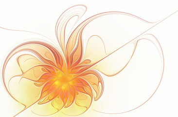 Fractal orange flower on a white background