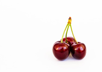 three glossy berries of ripe sweet cherry joined together by stems on white background isolated, copy space, template, poster