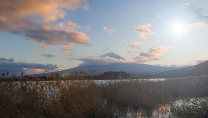 Fototapeta premium Mt.Fuji