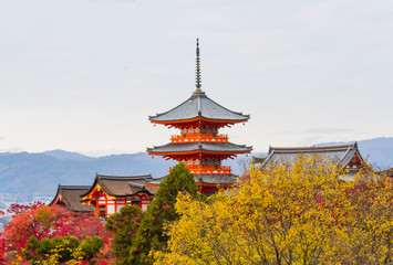 Kiyomizu-dera temple in autumn