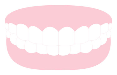審美歯科、白い歯とピンクの歯茎のイラスト