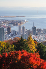 Kobe top view