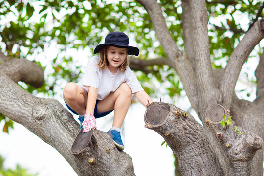 Kids climb tree in summer park. Child climbing.