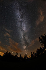 Milky Way and tree on the Beskydy mountains in Czech Republic.