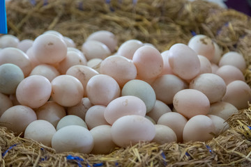 Fresh Eggs are in the basket