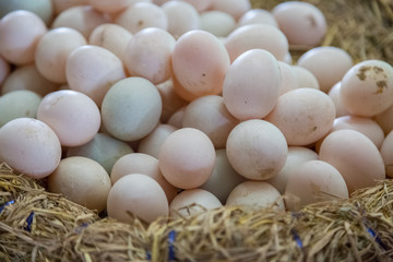 Fresh Eggs are in the basket