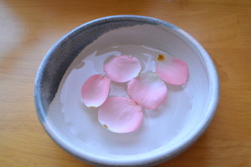 水に浮かぶ花びら