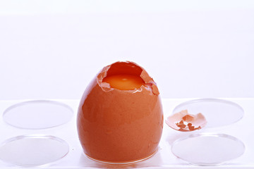 Eggs on White Background 