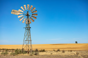 Windmill in South Australia in front of a wheatfield with a solitary tree