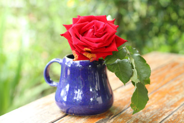 red roses in blue vase, on old wood table background.