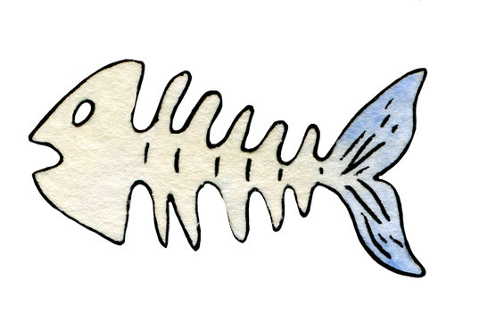 Skeleton of a fish with a blue tail. Children's watercolor illustration with a black stroke. On white background.