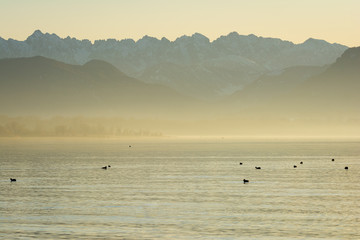 Berge und See mit Nebel - Sonnenuntergang am Chiemsee