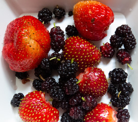 Lots of mulberry and strawberry on wite background macro