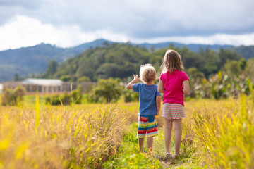 Fototapeta premium Kids visit rice plantation in Asia. Paddy field.