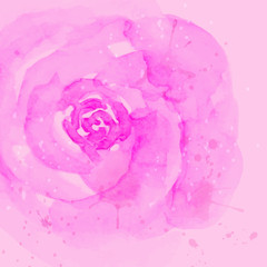 Watercolor design with pink rose