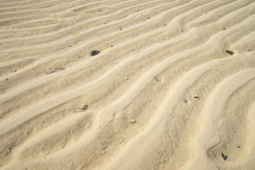 Sand pattern left by the ocean wave.