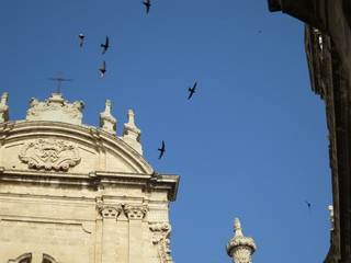 swallows flying above a church agianst a blue sky in Italy