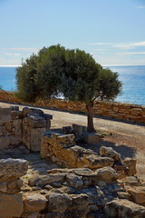 Ancient Kourion (Cyprus)