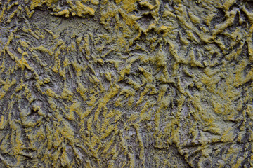 Blurry image of wall texture.  Abstract texture background. Textured wall background, blurred shot.